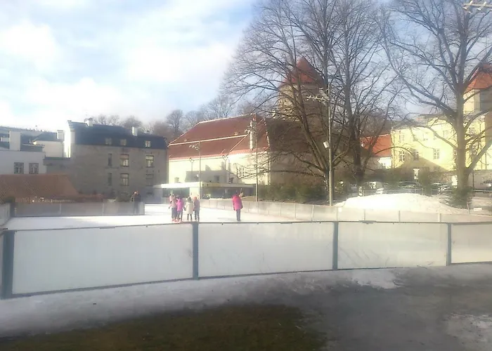 Apartman Old Town Niguliste *